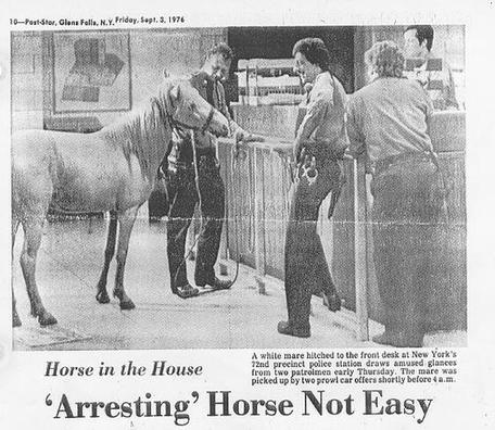 Horse 
in Stationhouse